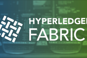 Hyperledger Fabric v2.0